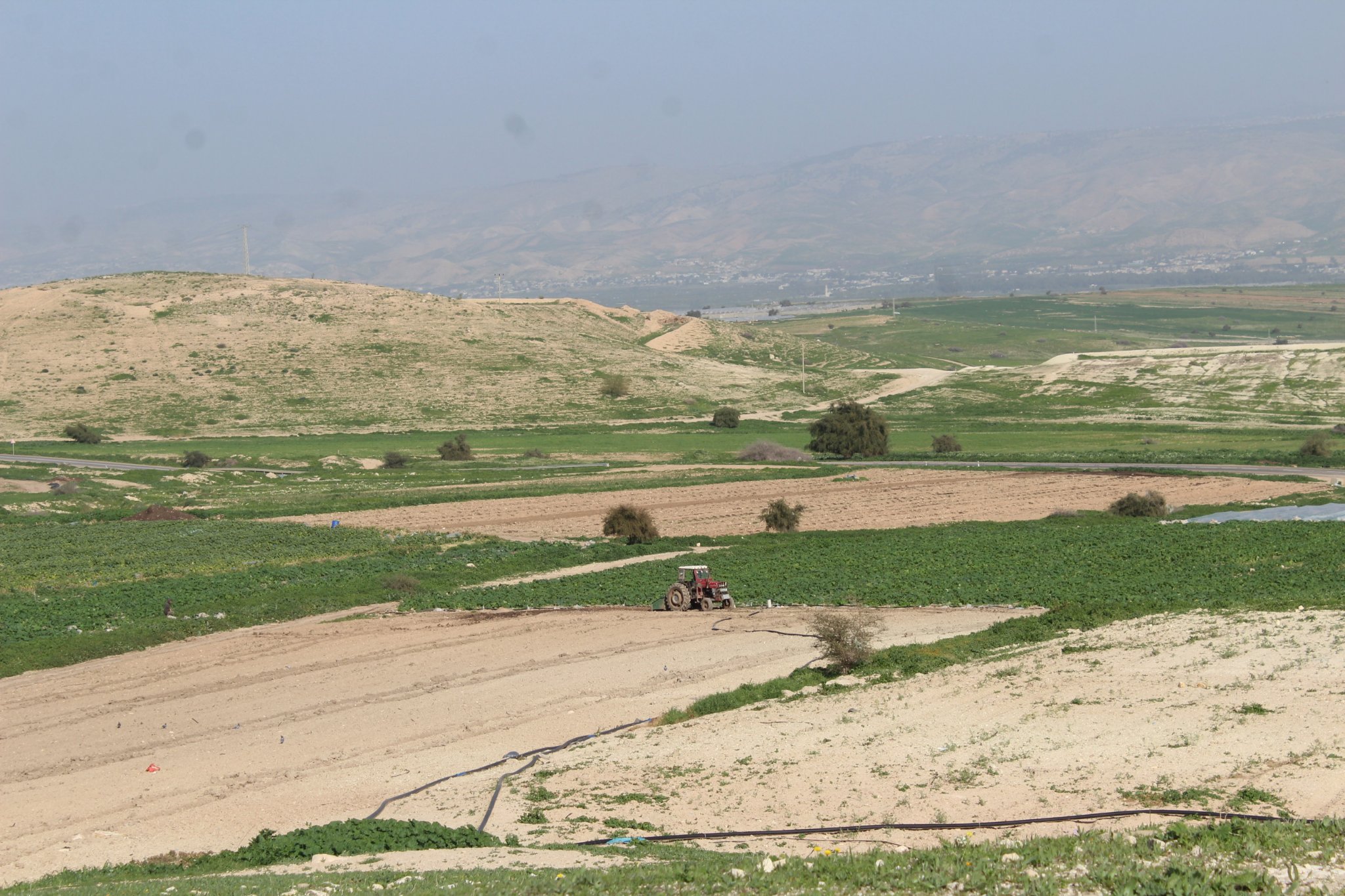 "وفا"